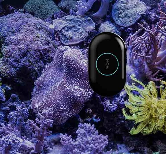 MOAI, le robot nettoyeur connecté pour votre aquarium