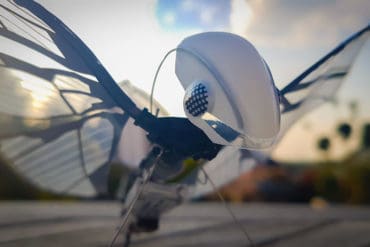 Test de l'oiseau biomimétique radiocommandé MetaFly